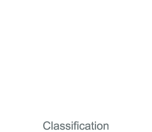 Classification